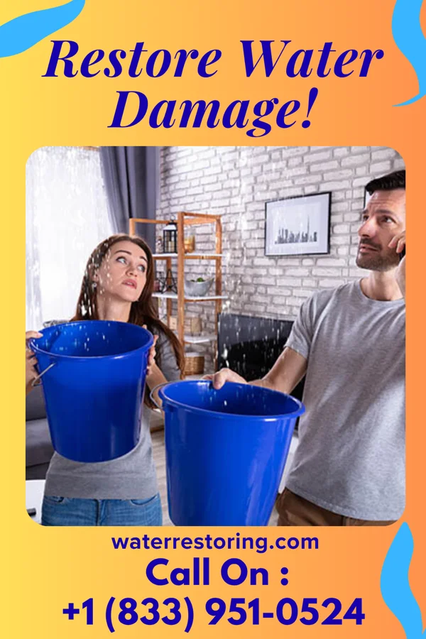 water restoration Local Flood Professionals Glen Rock