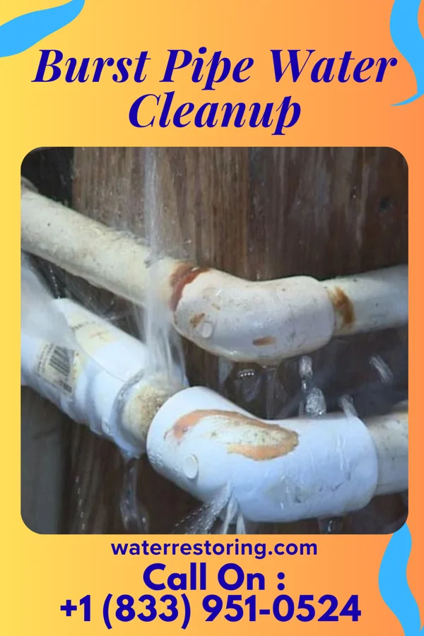 Burst Pipe Water Cleanup in Glen Rock, PA