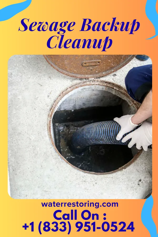 Sewage Backup Cleanup in Glen Rock, PA